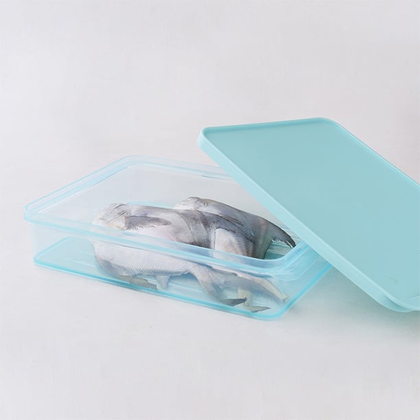 Hộp Trữ Đông Thực Phẩm Freezer Fit Locknlock Màu Tự Nhiên nhiều dung tích- HFL10, , large image number 13